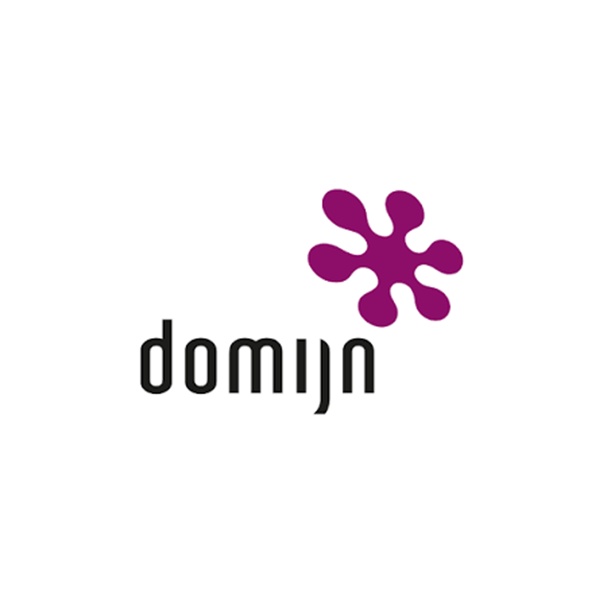 LuFire Events - Woningcorporatie Domijn Enschede